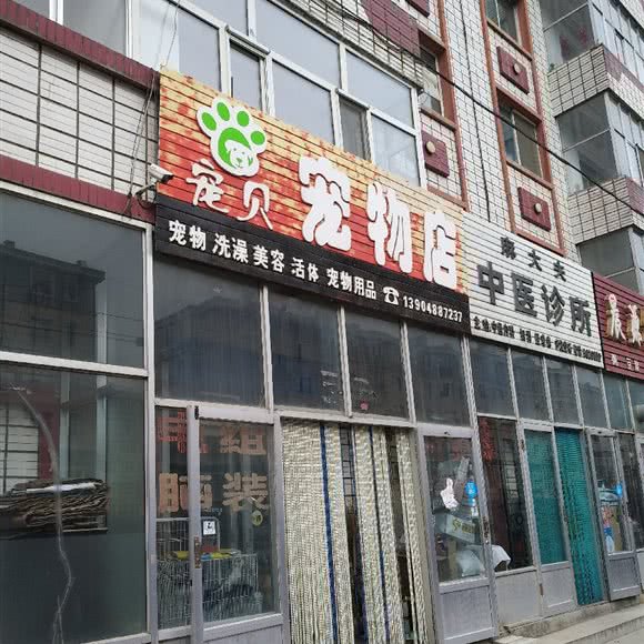 宠贝宠物店:双鸭山市友谊县
