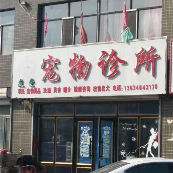 友爱宠物诊所:双鸭山市友谊县