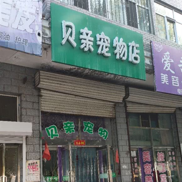 贝亲宠物店:双鸭山市宝清县