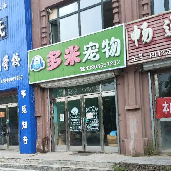 多米宠物:双鸭山市饶河县