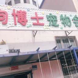 狗博士宠物会所:大庆市让胡路区