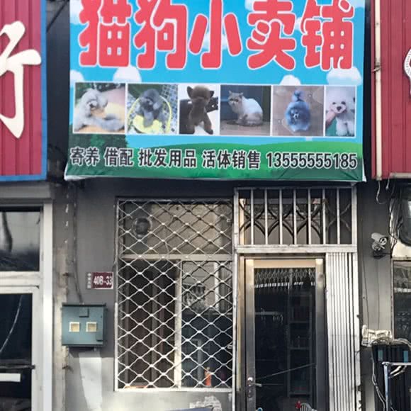 猫狗小卖铺:大庆市让胡路区