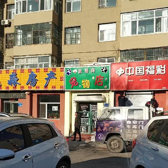 皮诺阁宠物店:大庆市让胡路区