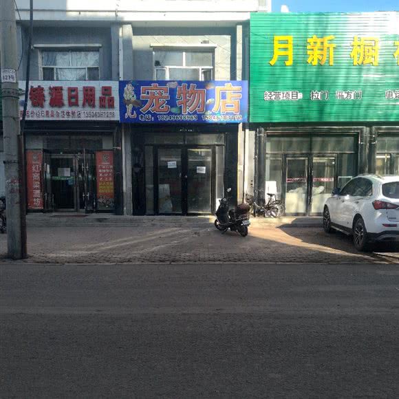 宠物店:大庆市肇州县