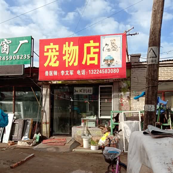 狗狗诊疗:大庆市肇源县