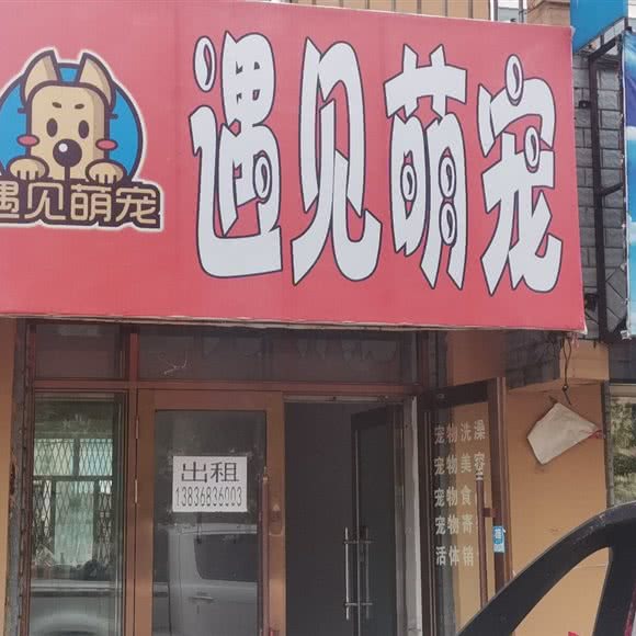 遇见萌宠宠物店:大庆市林甸县