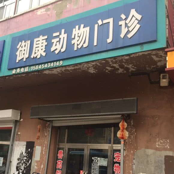 御康动物门诊:佳木斯市桦南县