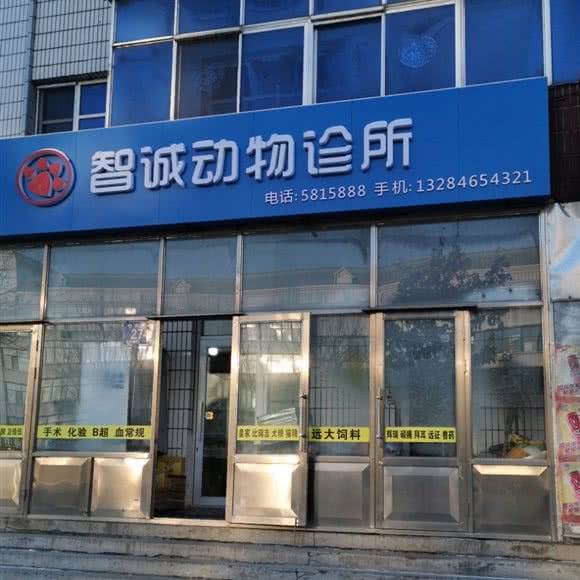 智诚动物诊所:佳木斯市富锦市