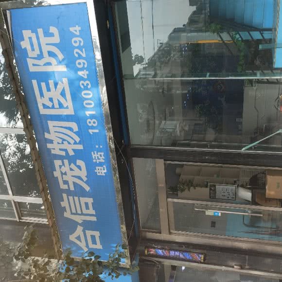 合信宠物医院:太原市杏花岭区胜利桥东附近