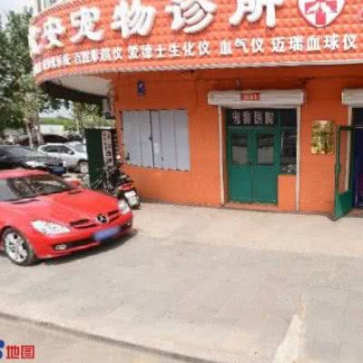 北安宠物狗诊所:牡丹江市爱民区