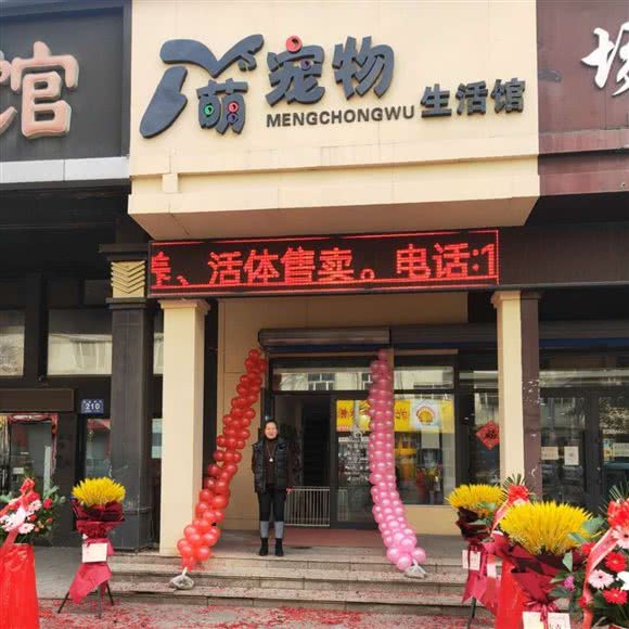 英姿萌宠物生活馆:牡丹江市西安区