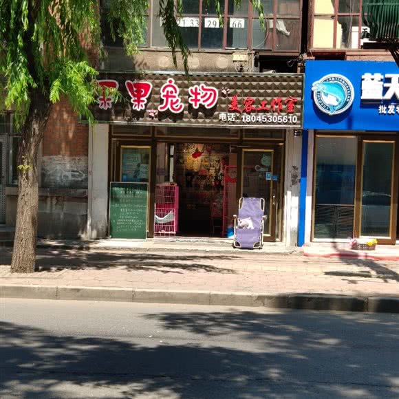 果果宠物美容工作室:牡丹江市西安区