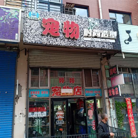 婷婷宠物时尚造型:牡丹江市林口县
