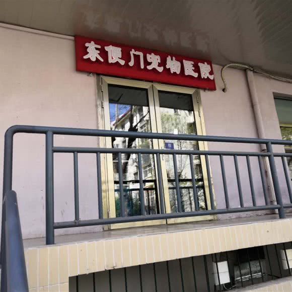 东便门宠物医院:北京城区东城区广渠门内附近