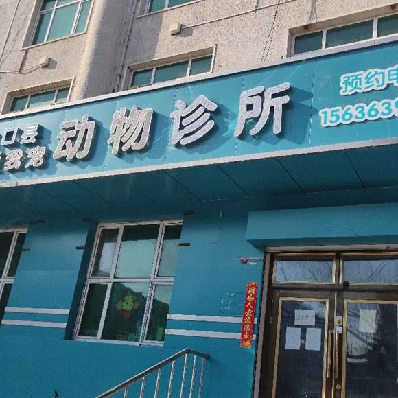 林口县我爱我宠动物诊所:牡丹江市林口县