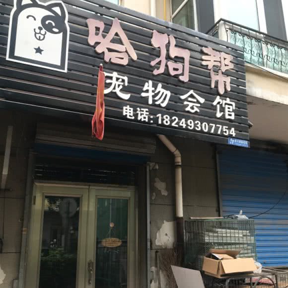 哈狗帮宠物会馆:牡丹江市海林市