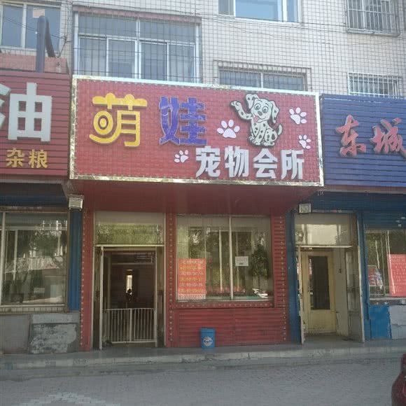 萌娃宠物会所:绥化市北林区