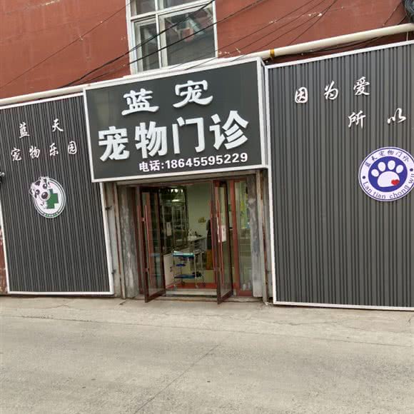 蓝天宠物门诊:绥化市庆安县