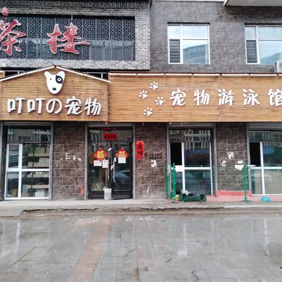 叮叮の宠物:绥化市明水县