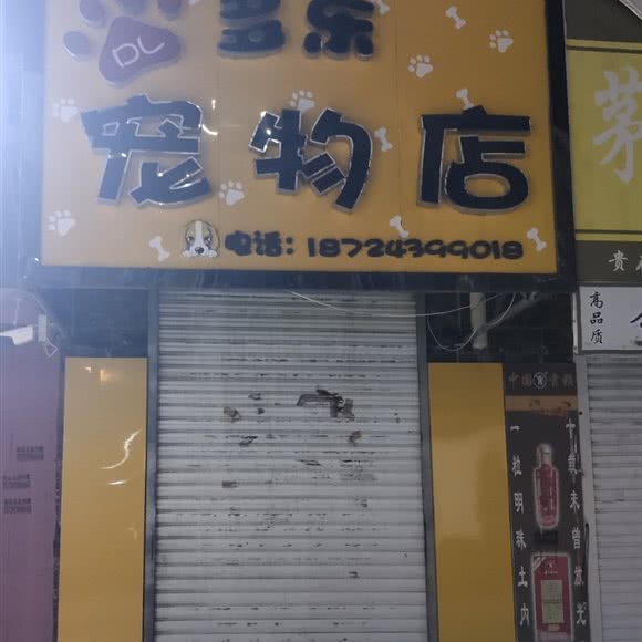 多乐宠物店:绥化市明水县