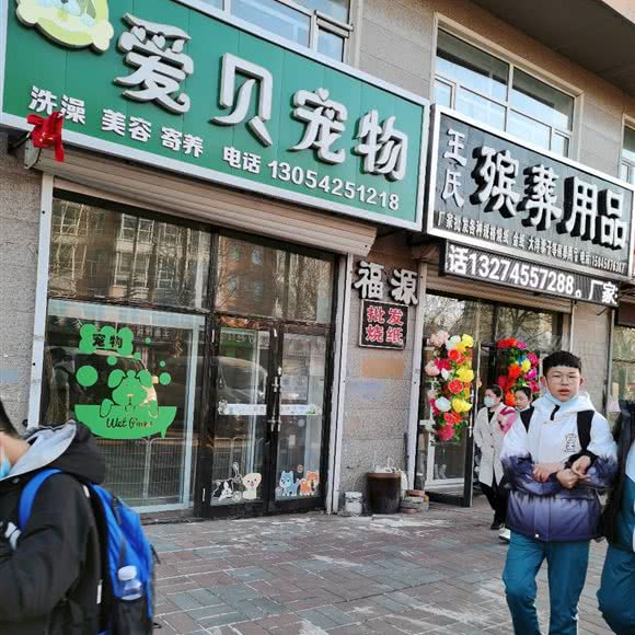 爱贝宠物:绥化市绥棱县