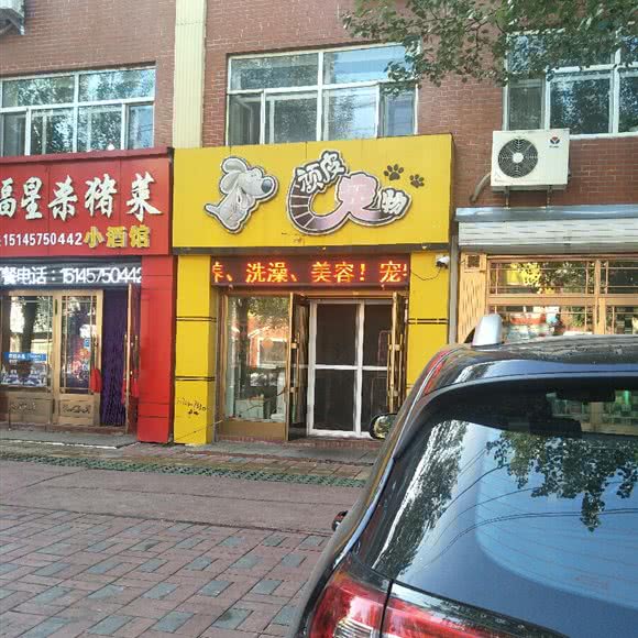 顽皮宠物:绥化市绥棱县