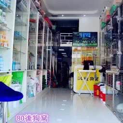 80后才狗窝宠物店:绥化市安达市