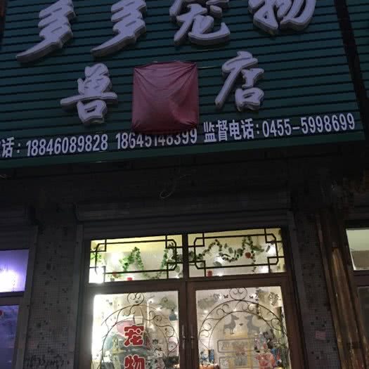 多多宠物店:绥化市肇东市