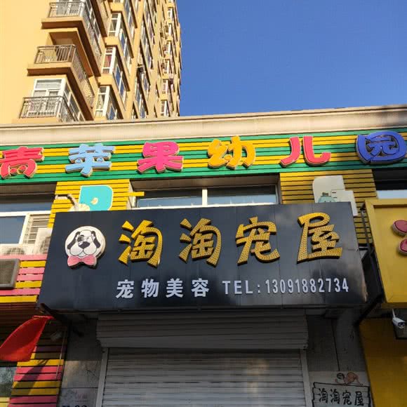 淘淘宠屋:绥化市肇东市