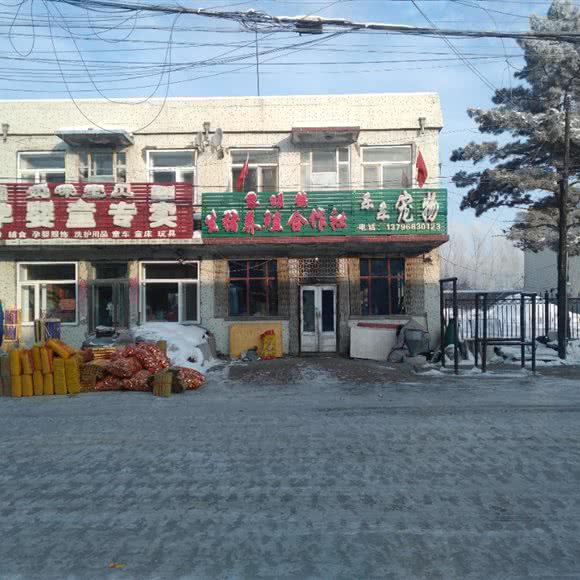 乐乐宠物:绥化市肇东市