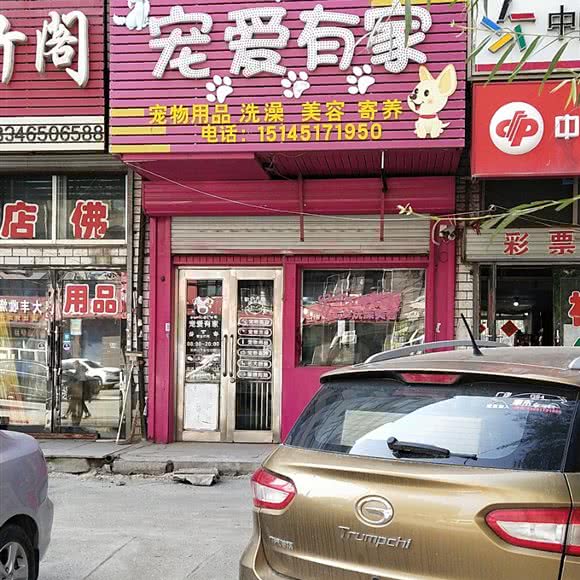 宠爱有家:绥化市肇东市