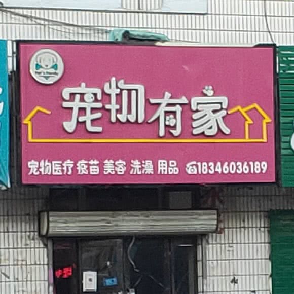 狗狗有家:绥化市海伦市