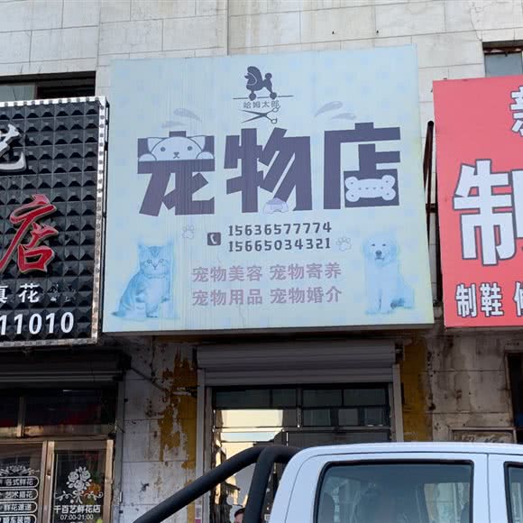 哈姆太郎宠物店:绥化市海伦市