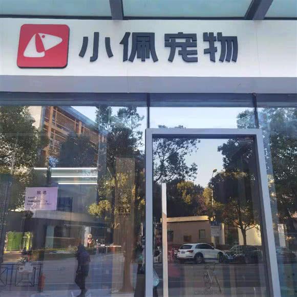 小佩宠物(望月店):上海城区徐汇区