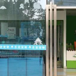 圣宠宠物(望月路店):上海城区徐汇区
