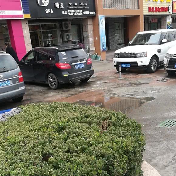 叁月萌宠:上海城区普陀区