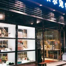 朵尔宠物(杨浦店):上海城区杨浦区