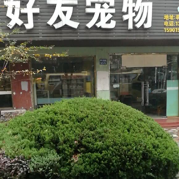 密友宠物:上海城区闵行区