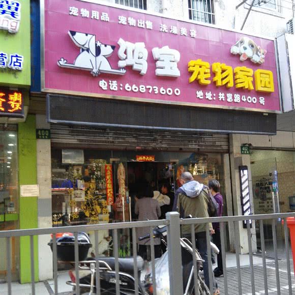 鸿宝宠物关爱家园:上海城区宝山区