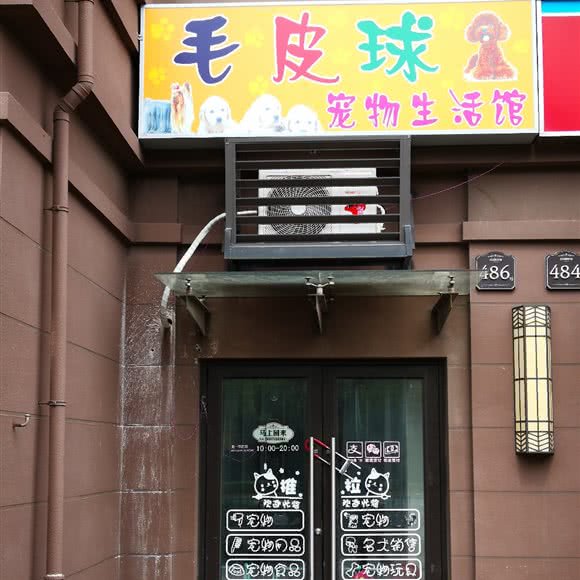 毛皮球宠物生活馆:上海城区嘉定区