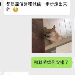 萌宠乐园:上海城区浦东新区