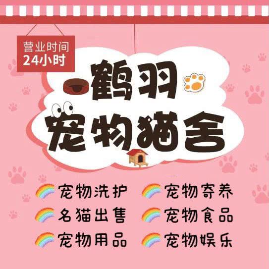 鹤羽宠物猫舍:上海城区浦东新区