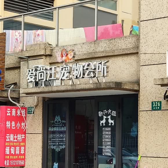 爱尚汪宠物会所:上海城区金山区