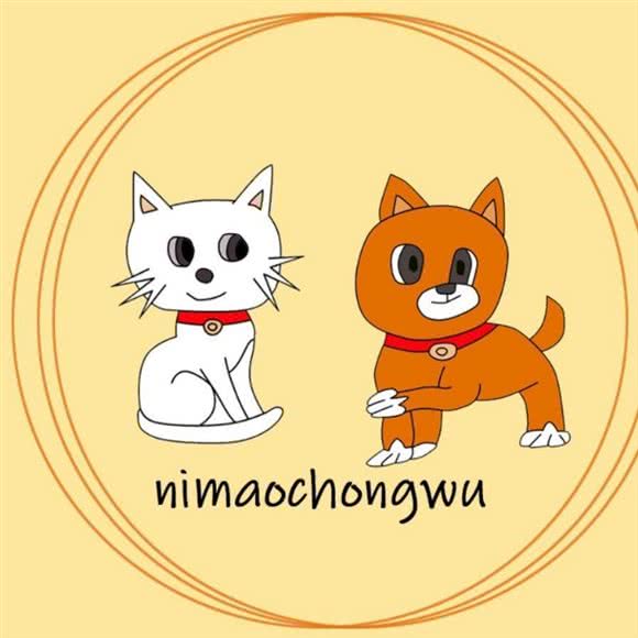 宁猫宠物生活馆:上海城区松江区
