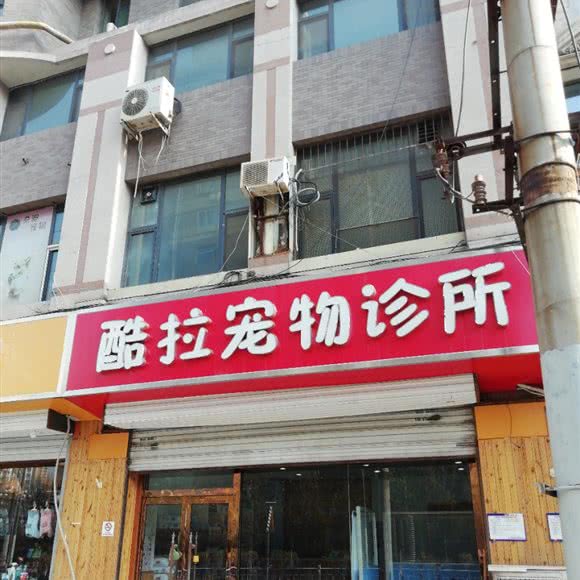 酷拉宠物诊所:太原市万柏林区漪汾街附近