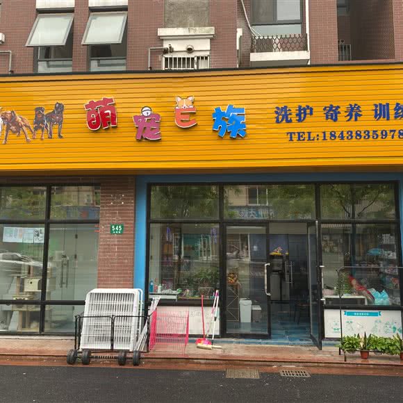 萌宠E族:上海城区松江区