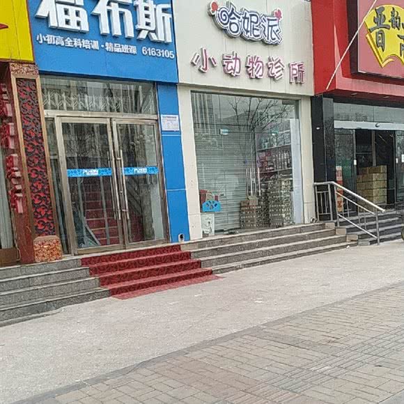 哈妮派小动物诊所:太原市万柏林区漪汾街附近