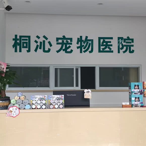 上海桐沁宠物医院:上海城区松江区
