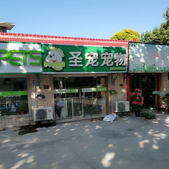 圣宠宠物(崇明店):上海城区崇明区