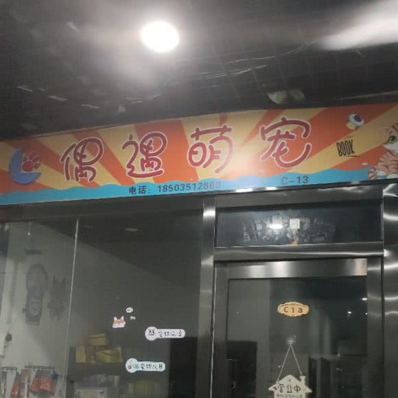 偶遇萌宠:太原市万柏林区和平路附近